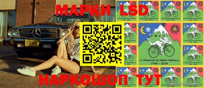 шишки Апшеронск
