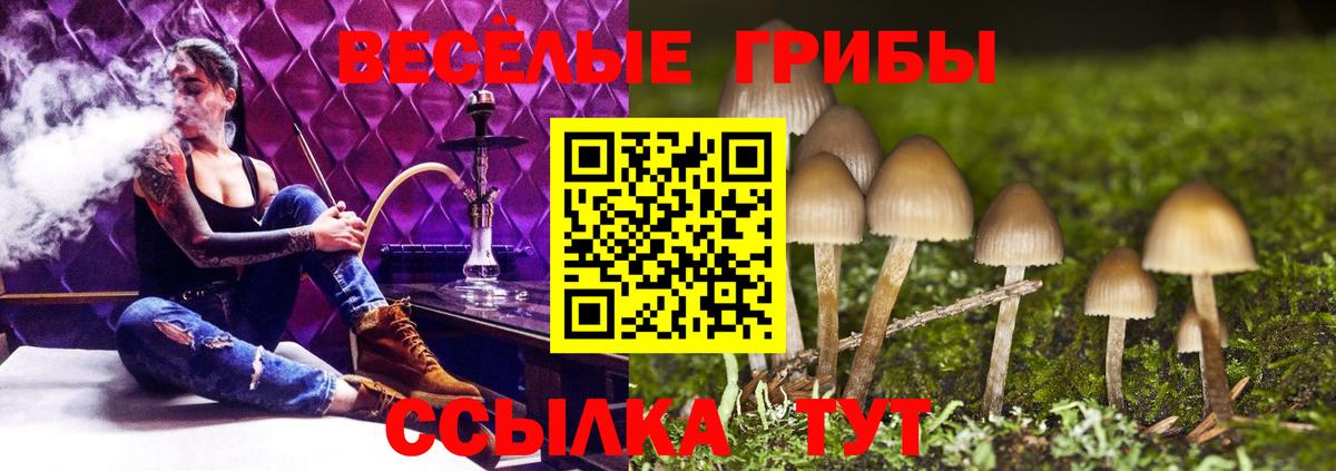 Галлюциногенные грибы мицелий  Псилоцибиновые грибы MAGIC MUSHROOMS  Владикавказ  где купить наркотик  Вход с VPN 